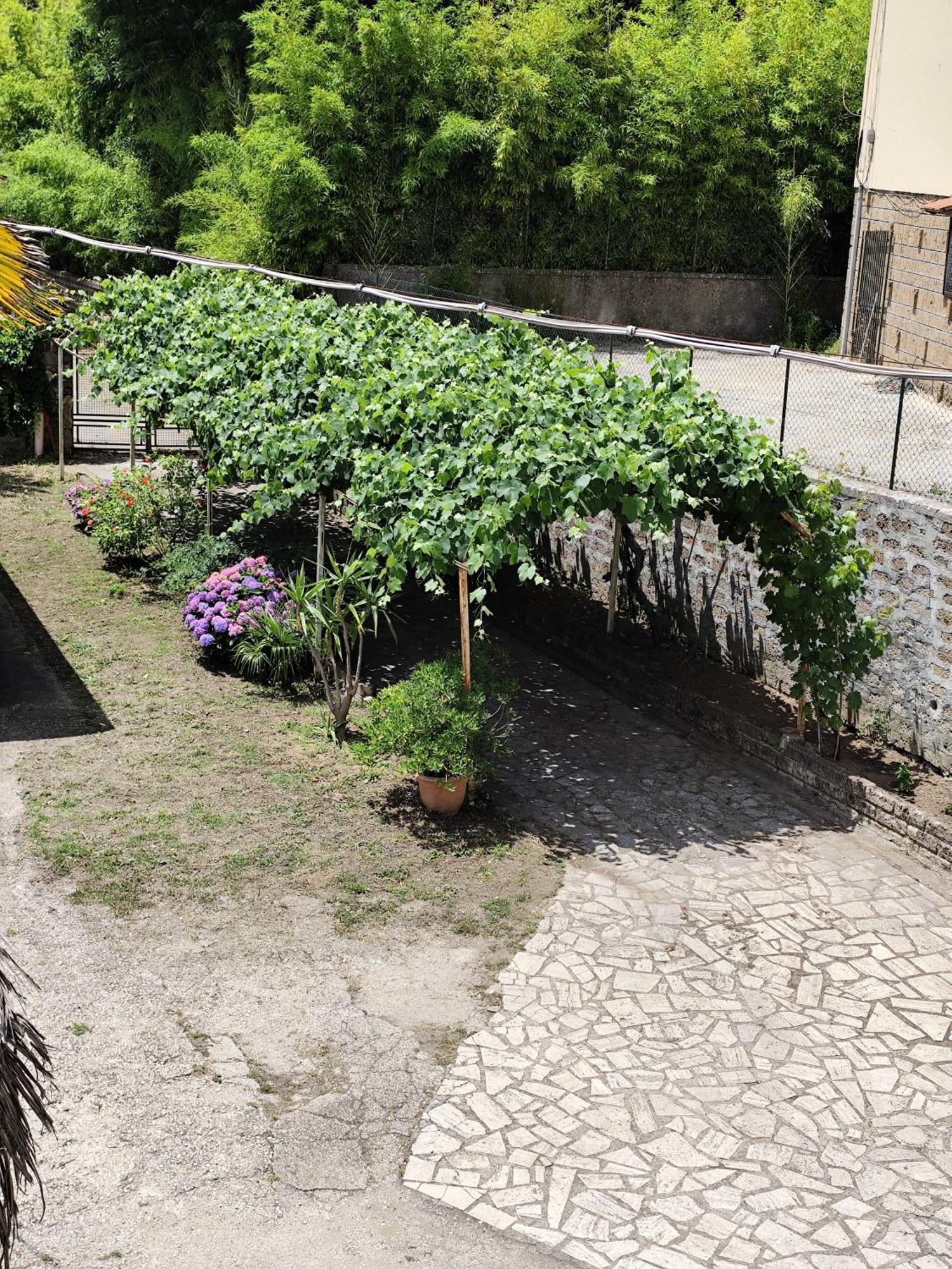 La Casina Di Karol Apartment Ronciglione  Luaran gambar
